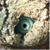 :iconundergroundmachine: