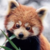 :iconunderhighway: