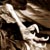 :iconunderkill2811:
