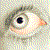 :iconunderneath-the-paint: