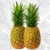 :iconunderworld026:
