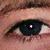 :iconundyingblaze: