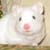 :iconunebellelilas:
