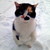 :iconunevenart: