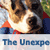 unexpected-pit1 :iconunexpected-pit1: