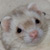 :iconunexpectedtoy: