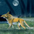 :iconunfail: