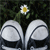 :iconunfashionable: