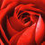 :iconunforgivenunatural: