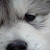 :iconunicorn-lady: