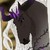 :iconunicornfinder5: