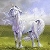:iconunicornheather:
