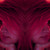 :iconunicornraindrops: