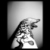 :iconunidentifiedenigma: