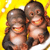 :iconUniqueitem: