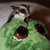 :iconuniquelydebi: