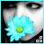 :iconunited-for-help: