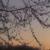 :iconunknown-in-the-light: