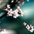 :iconunknown-noutan: