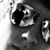 :iconunknown-webarts: