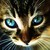 :iconunknownkittyy: