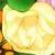 :iconunknownowl:
