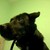 :iconunknownperson1: