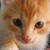 :iconunknownwildunicorn: