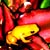 :iconunlikely-skymoo: