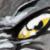 :iconunniverse: