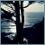 :iconunnoticed: