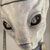 :iconUnpaid-Wizard: