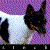 :iconunpredicted-stock: