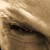 :iconunsavoryart: