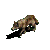 :iconunsc-wolf: