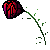 :iconunseeing-alice: