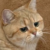:iconunsettledgoat1:
