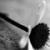 :iconunspace: