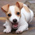 :iconuntalentedartist123: