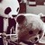 :iconuntamedbyhim:
