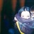 :iconuntitled5: