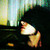 :iconuntitledcolors:
