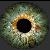 :iconuntouchable-mind: