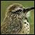 :iconup-a-ladder: