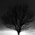 :iconup-s: