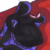 :iconupcomingpresident: