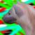 :iconuprootthedead: