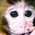 :iconups-8: