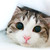 :iconuptowardsthesky: