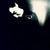:iconuraszz: